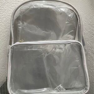 Transparent Gray Backpack